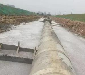 1763019083446042.png 图片5.png